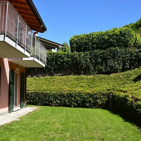 Orchidea * 벨라지오