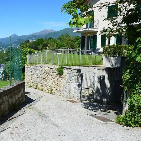 Orchidea 벨라지오